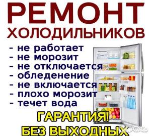 Ремонт холодильников на дому Языково  Село Языково 4152482380.jpg